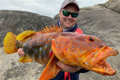 i fish|Ifish Fishing .